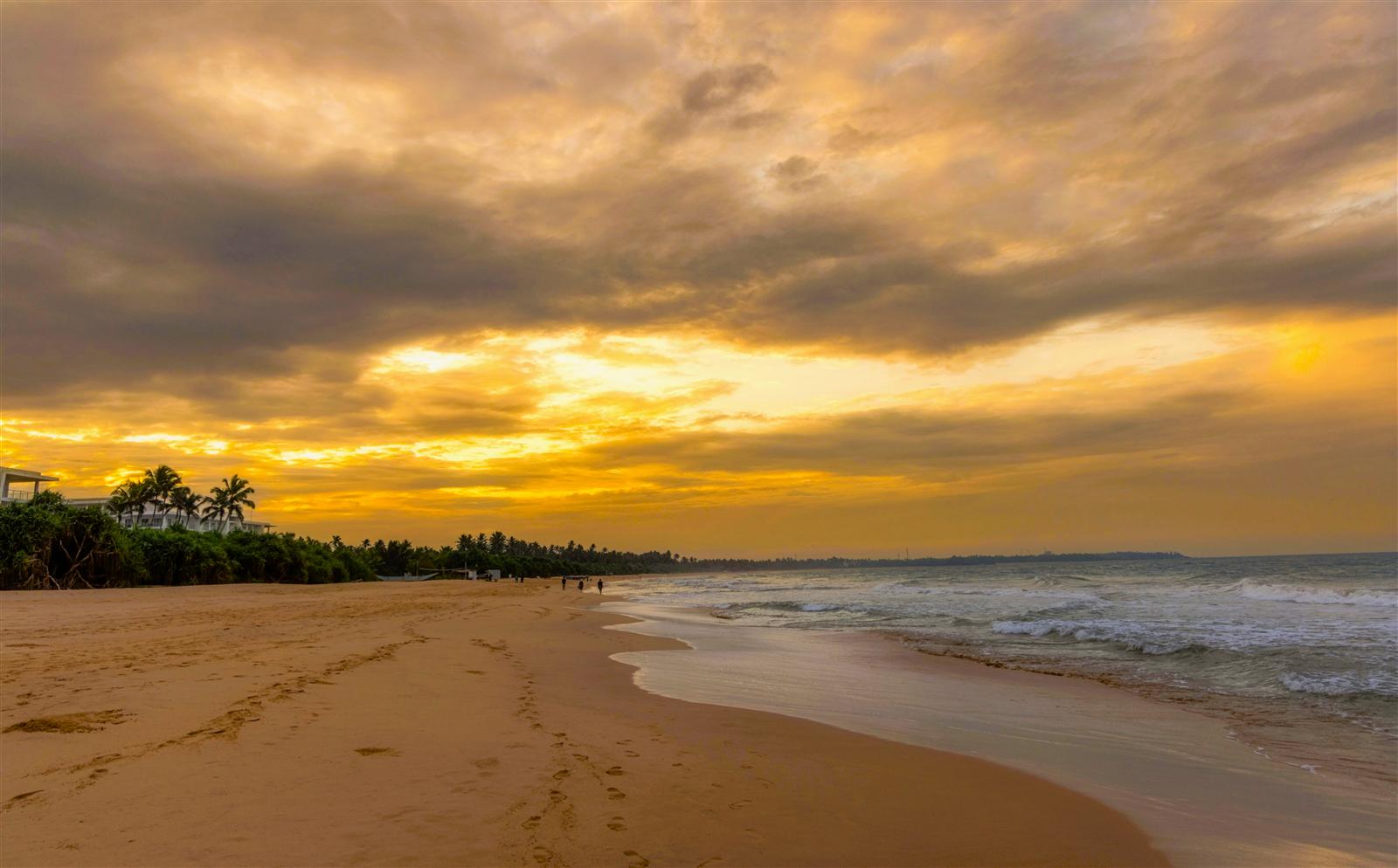 Beach Paradise Travel